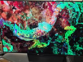 Televizorius Oled LG 55bx3lb