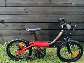 Orbea grow