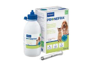 Pronefra