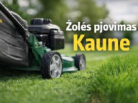 Žolės pjovimas