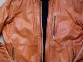 Odine medium