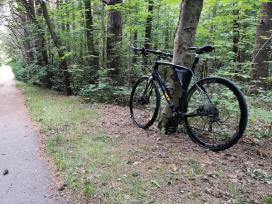 Specialized Sirrus Carbon XL plentinis dviratis!