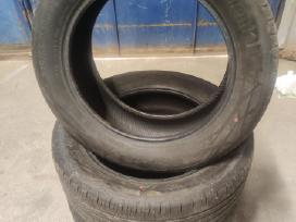 Continental Ecocontact6 R18 vasar.padangos 2025m.