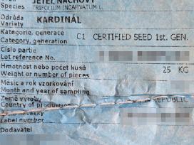 Purpuriniai dobilai Kardinal sertifikuotos sėklos