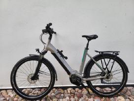 Winora Yucatan R8.dirzine Pavara 630wh.