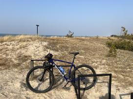 Orbea Onna XL