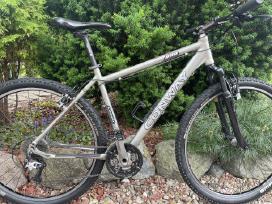 Hibridinis Conway 29
