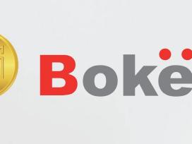 Buitinės chemijos gamyba ir didmeninė prekyba