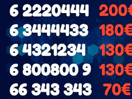 Gražus VIP numeris 3333 4444 800800