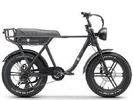 Elektrinis dviratis Ape Ryder A10, L, 20", 250 W