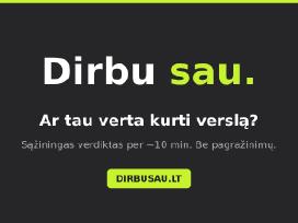 Verslo idėjos patikrinimas – asmeninė analizė