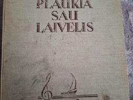 Plaukia sau laivelis. III dalis