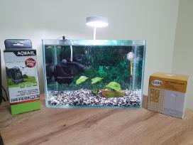 Akvariumas su pilna įranga ir garantijomis