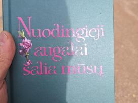 Nuodingieji augalai šalia mūsų