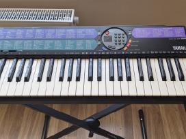 Sitezatorius Yamaha