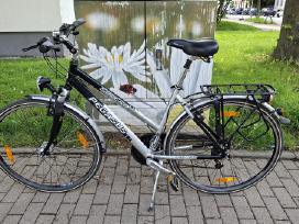 Dviratis Pegasus Solero 28"