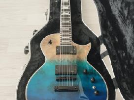 Les Paul stiliaus Esp elektrinė gitara su Emg