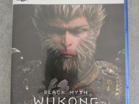 Black myth wukong