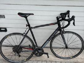 Canyon Endurance AL Dviratis