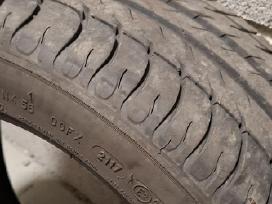 205/45r16 vasarinės padangos