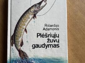 Knyga