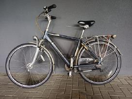 Gazelle Medeo