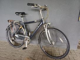 Gazelle Medeo