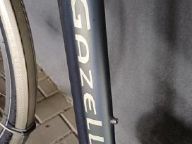 Gazelle Medeo