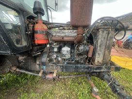 Mtz dalimis 1991m