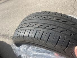 195/55/r15 padangos