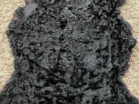 Natūralus kailis