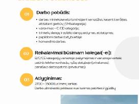 Šviesolaidžio įrengimas De - Vairuotojas (-a) su C