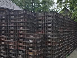 Plastikinės maistinės dėžės