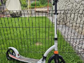 Paspirtukas Sport Scooter City 230mm