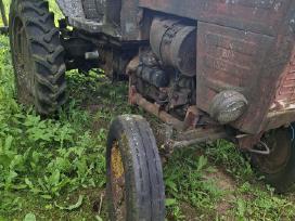 T 25