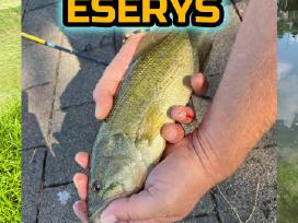 Largemouth bass šiaurės Amerikos ešerys privalumai