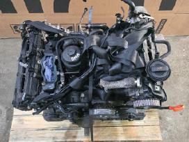 Audi variklis Bmk dyzelinas 3000 cm³ 165 kw