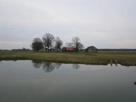 Parduodu sodyba,juodaiciai,misiunu km. 9,5ha