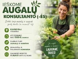 Medelynas Ieško Pardavėjo (-OS) – Konsultanto