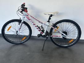 Scott contessa 24 dviratis