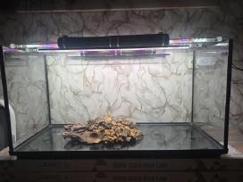 Akvariumas 200l su LED apšvietimu