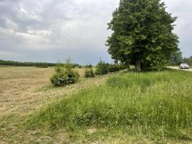 Sklypas namo ar sodybos statybai šalia asfaltuoto