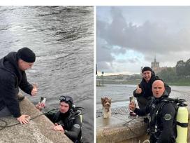 Narų-naro paslaugos,įvairaus sudėtingumo darbai,