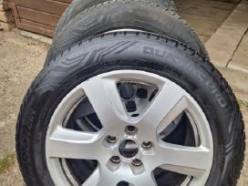 Audi ratai