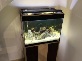 Fluval Roma 90akvariumas