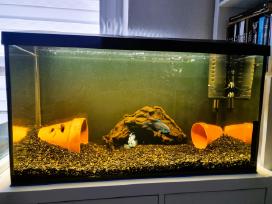 Akvariumas 105 l naudotas tik kelis mėnesius