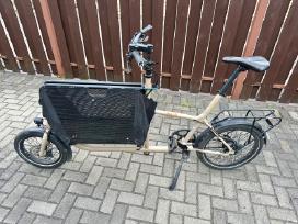 Muli Muskel Cargo Alfine 11 Gates Belt