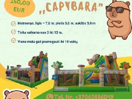 Pripučiamų Batutų nuoma Vilniuje ir apylinkėse