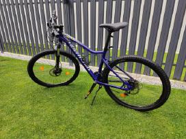 Specialized kalnų dviratis L dydis