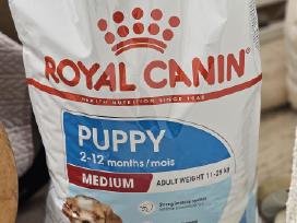 Royal Canin Medium Puppy sausas maistas